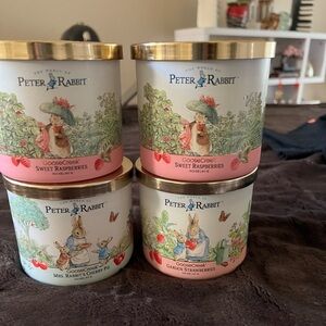 Goose Creek Peter Rabbit Candle Set*4